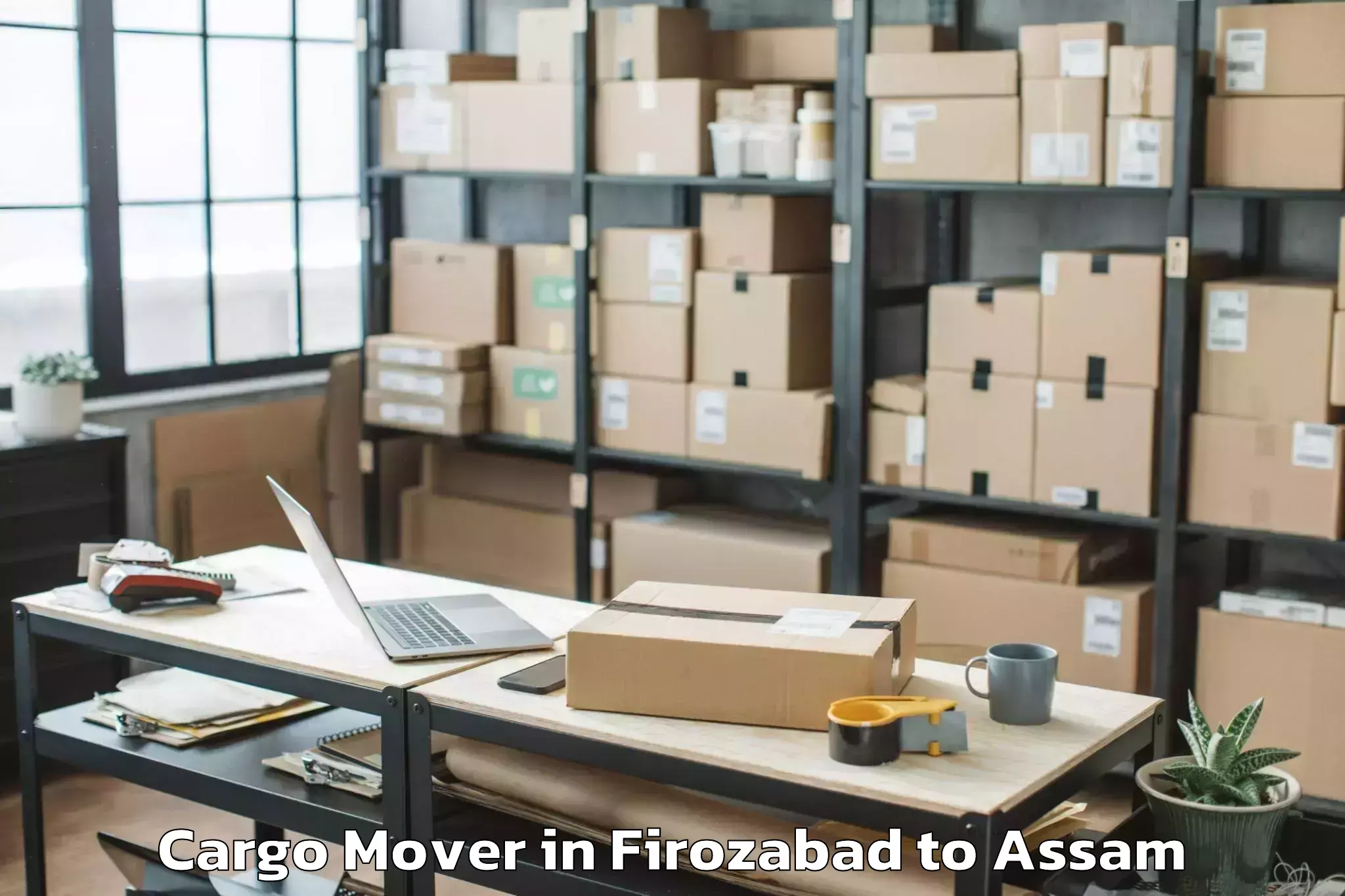 Professional Firozabad to Pachim Nalbari Cargo Mover